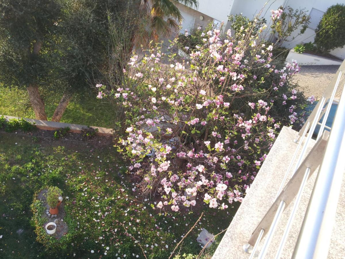Bed and Breakfast Com O Douro A Vista Jovim Екстер'єр фото